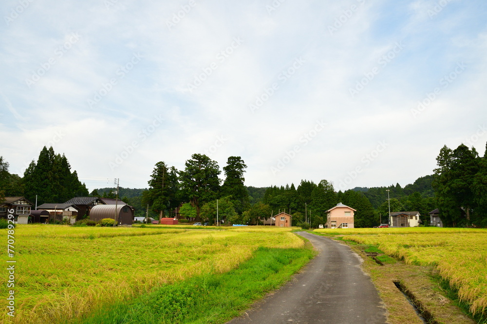 高柳荻ノ島かやぶき環状集落（新潟県）