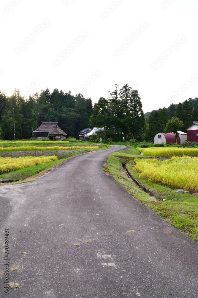 高柳荻ノ島かやぶき環状集落（新潟県）
