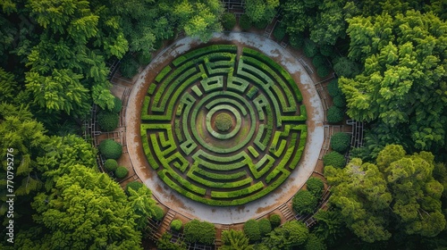 An overhead view of an intricate, ornamental garden maze, its paths and hedges perfectly manicured