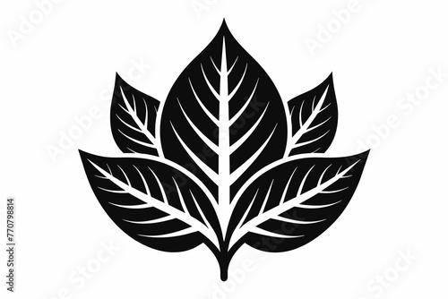 Leaf Silhouette black logo vector illustration