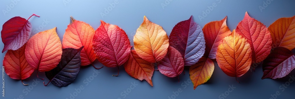 Obraz premium Creative Layout Colorful Riskus Leaves, Background HD, Illustrations