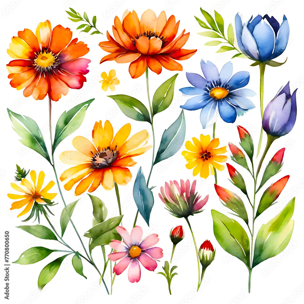 Obraz premium Summer’s Symphony: A Watercolor Floral Ensemble. This image showcases a vibrant collection of summer flowers, painted with watercolor on a pristine white background. 