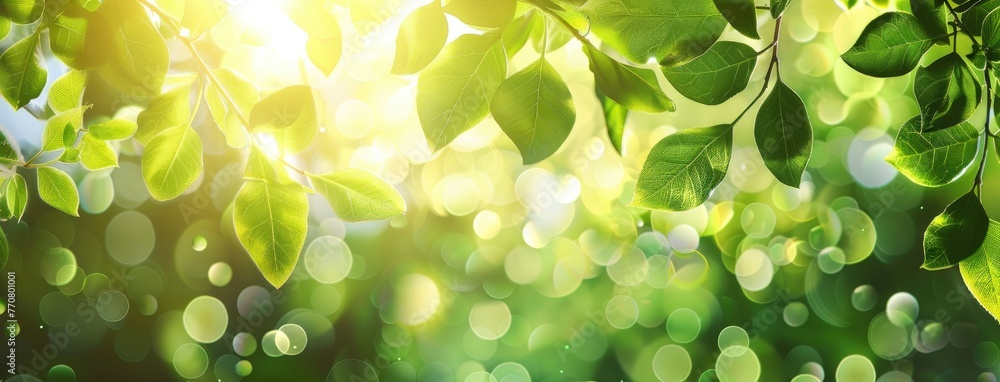 a panoramic banner featuring lush green leaves set against a blurred backdrop, designed with a wide layout and generous space for text, evoking the rejuvenating spirit of nature. a panoramic banner featuring lush green leaves set against a blurred backdrop, designed with a wide layout and generous space for text, evoking the rejuvenating spirit of nature.