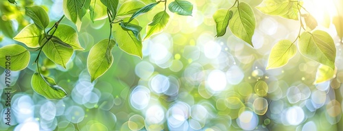 a panoramic banner featuring lush green leaves set against a blurred backdrop, designed with a wide layout and generous space for text, evoking the rejuvenating spirit of nature. © lililia