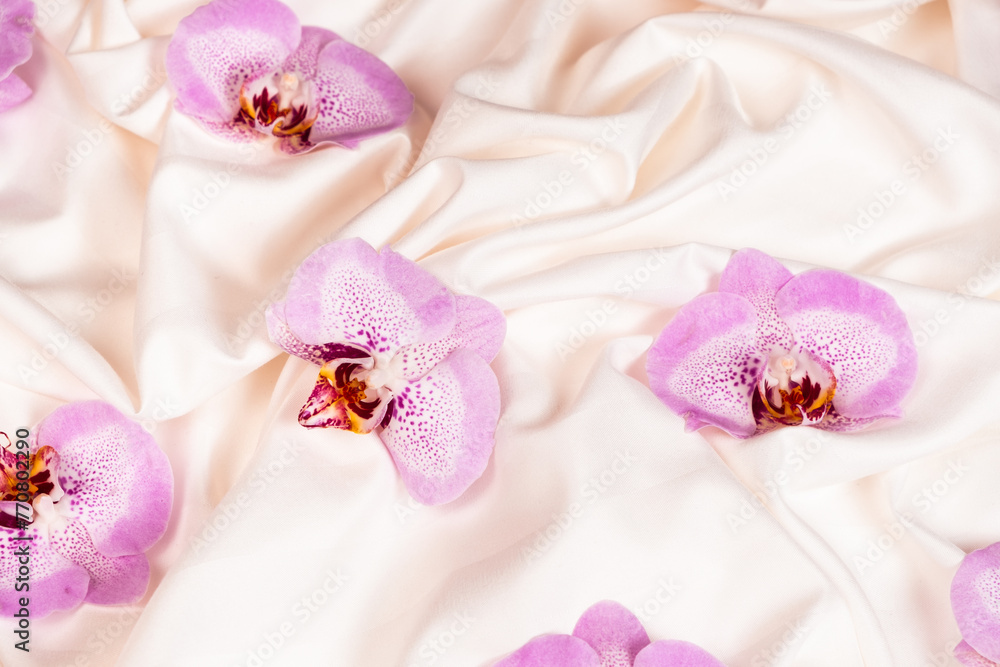 An orchid flower on crumpled bedding.