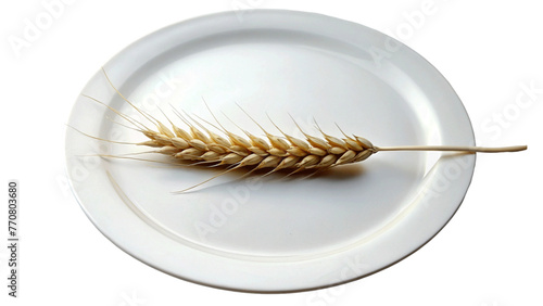 Ear of wheat and wheat grain in a plate isolated on Transparent background.