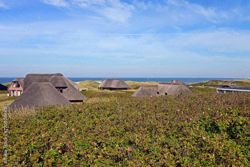 Reetdach Häuser in Henne Strand, Jütland, Dänemark