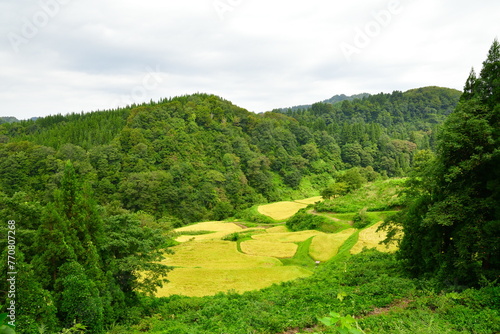 中子の棚田（新潟県） photo