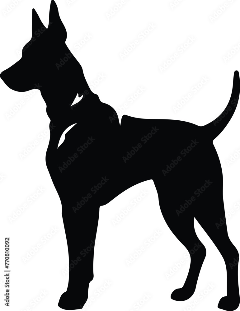 Fototapeta premium Doberman pinscher silhouette