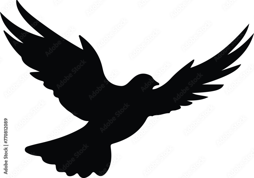 Obraz premium dove silhouette