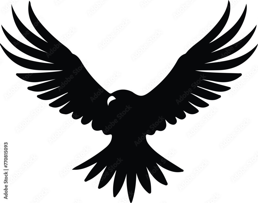 Obraz premium eagle silhouette