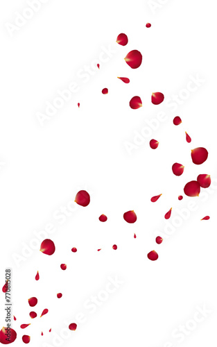 Red_Rose_Petal_Vector_Background_222.eps