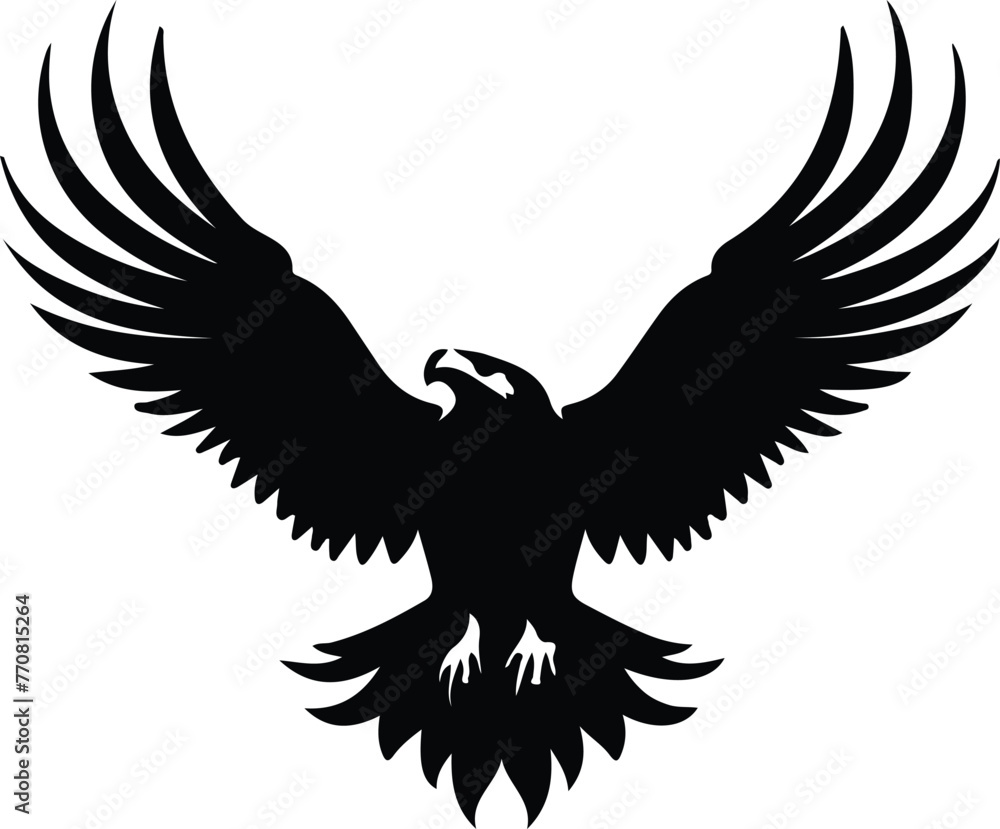 Obraz premium eagle silhouette