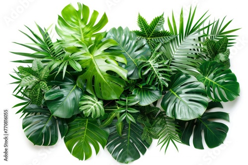 Green leaves of tropical plants bush floral arrangement indoors garden nature backdrop isolated on white background - generative ai