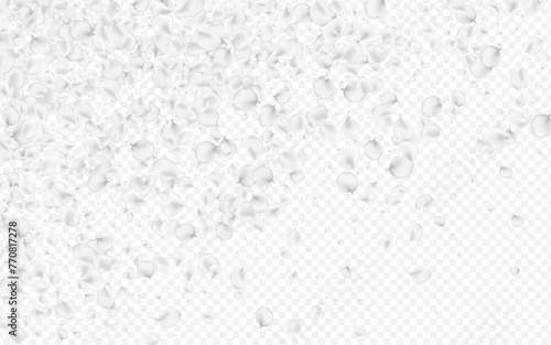White_petals_transparent_background_383.eps