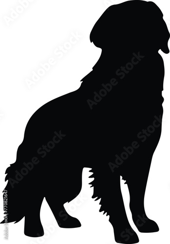 golden retriever silhouette