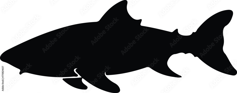 Greenland shark silhouette