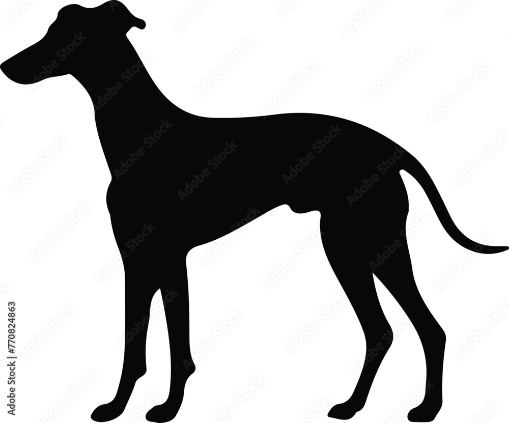 greyhound silhouette