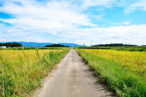 長岡市越路の田園風景（新潟県）