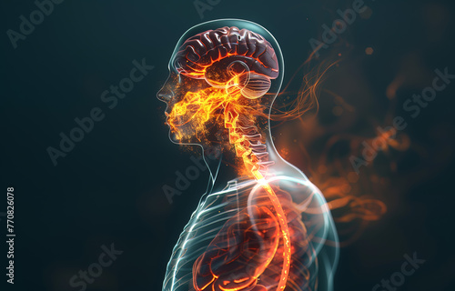 This visually striking image captures the side profile of a human silhouette with neural pathways ablaze, symbolizing the power and energy of the human nervous system.