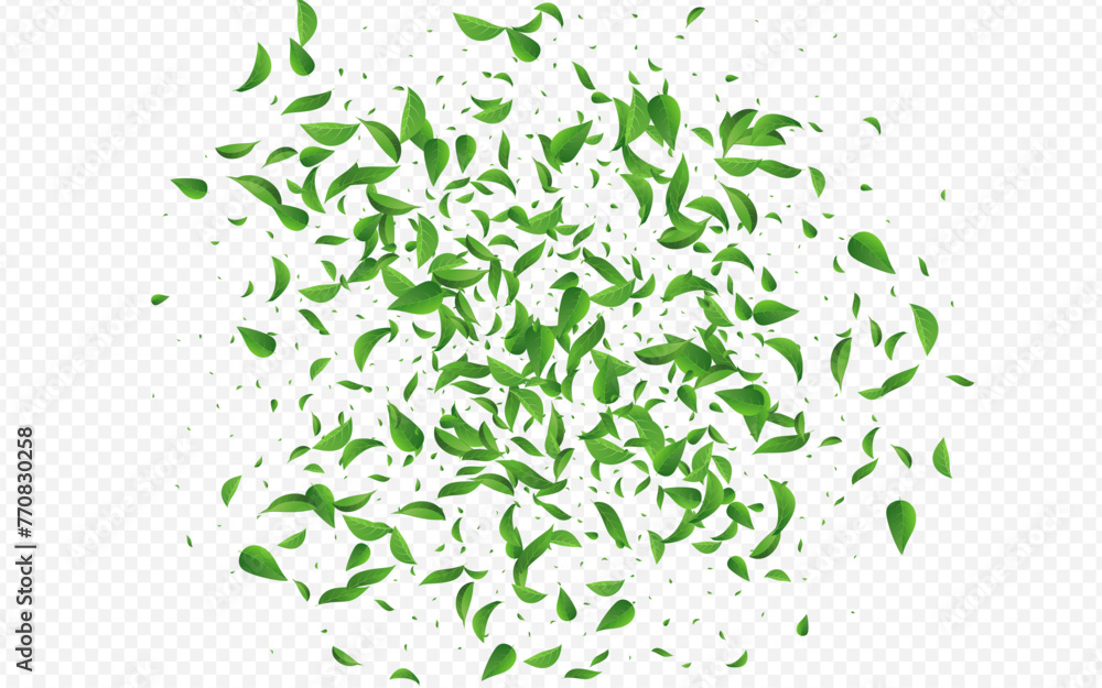 2560x1600ggr39__leif_8_01.eps