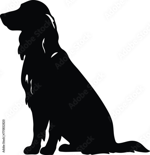 Irish setter silhouette