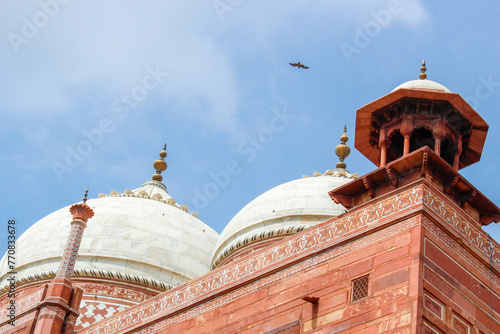 Taj Mahal mosque. Agra, India