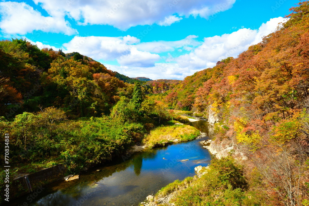 Fototapeta premium 仙台市広瀬川の紅葉（宮城県）