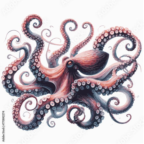 watercolor octopus and ocean floor illustration on white  ackground