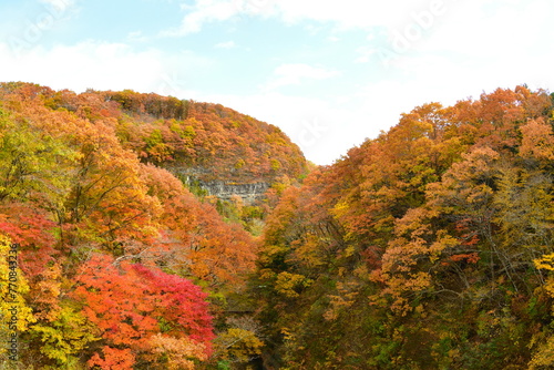 定義山周辺の紅葉（宮城県） © UI_forever