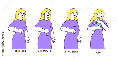Stages of pregnancy vector linear