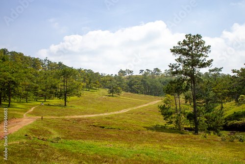 Beautiful Landscape Of Green Hill And Pine Forest In Da Lat, Vietnam.