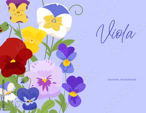 Spring viola flower wedding invitation template or greeting card, poster, banners, posters and prints. Various pansy flowers bouquet on violet background vector illustration