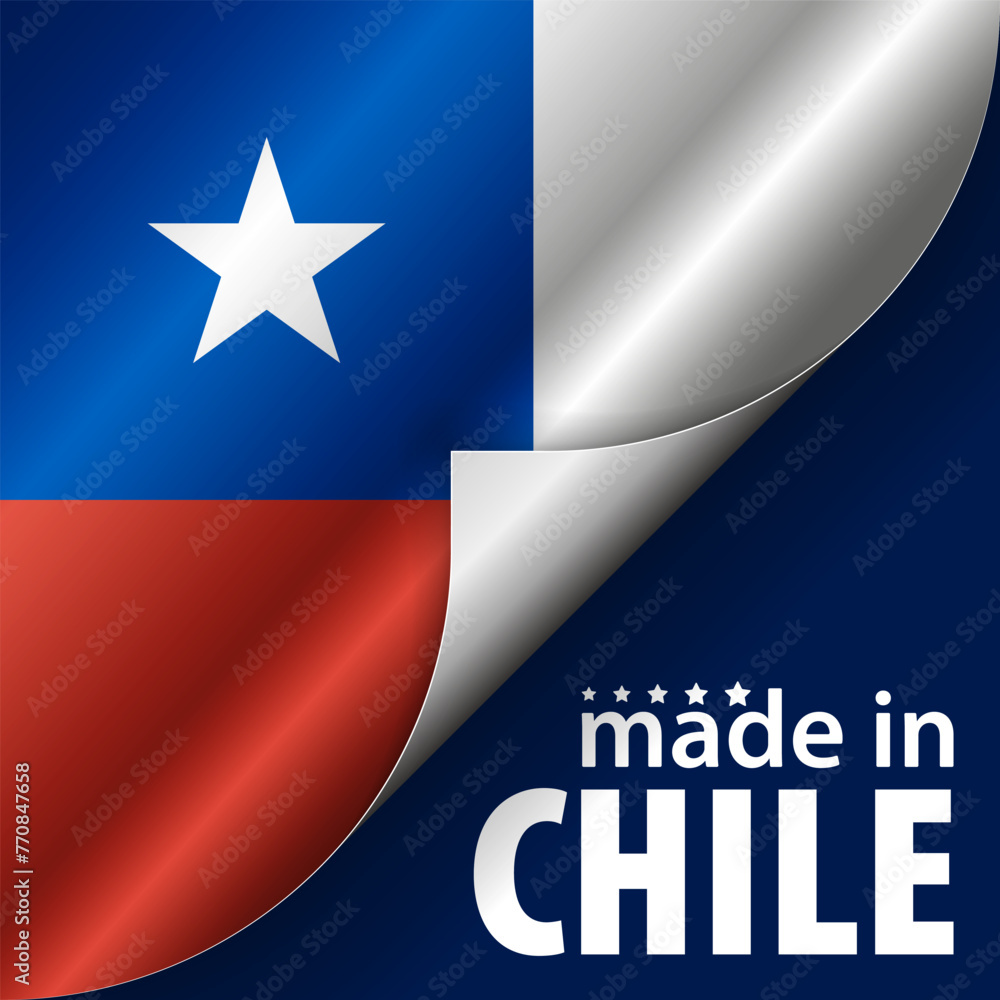 Made in Chile graphic and label.