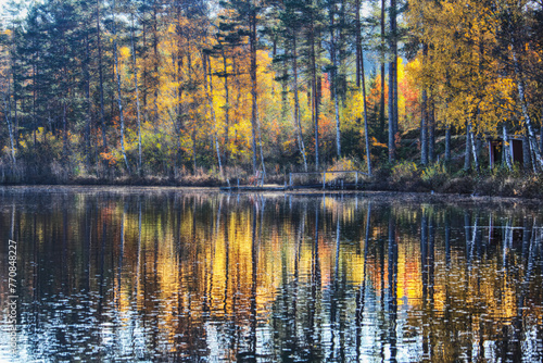 autumn trees reflected in water
Sweden 
