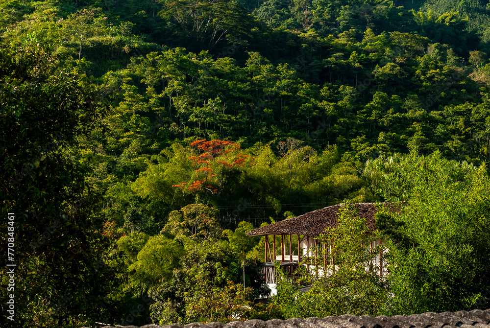 Colombia Coffee Region Colombia Coffee Region