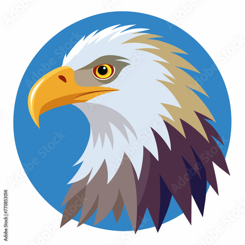 american bald eagle