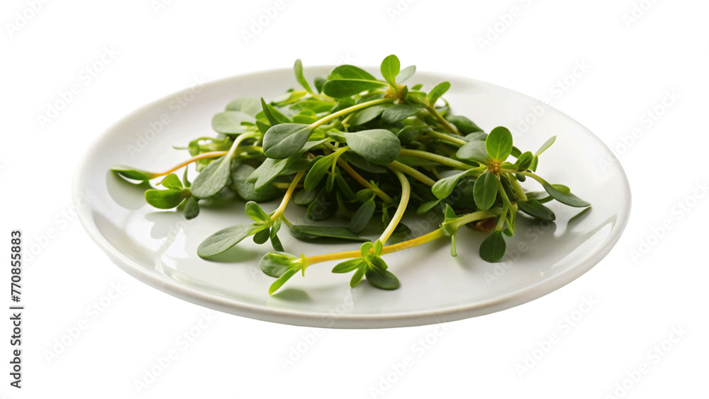 Purslane raw with slice isolated on Transparent background. Purslane raw with slice isolated on Transparent background.
