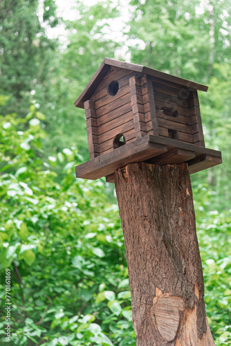 There is a handmade wooden birdhouse on the stump.