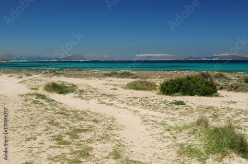 Beautiful Untouched Beach In Can Picafort Mallorca On A Wonderful Sunny Spring Day With A Clear Blue Sky