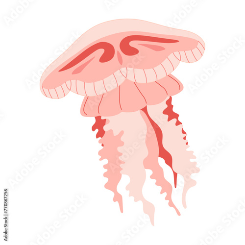 Cartoon Pink jellyfish flat style. Medusa vector illustration. Modern flat illustration Jellyfish isolated on white background. Vector illustration