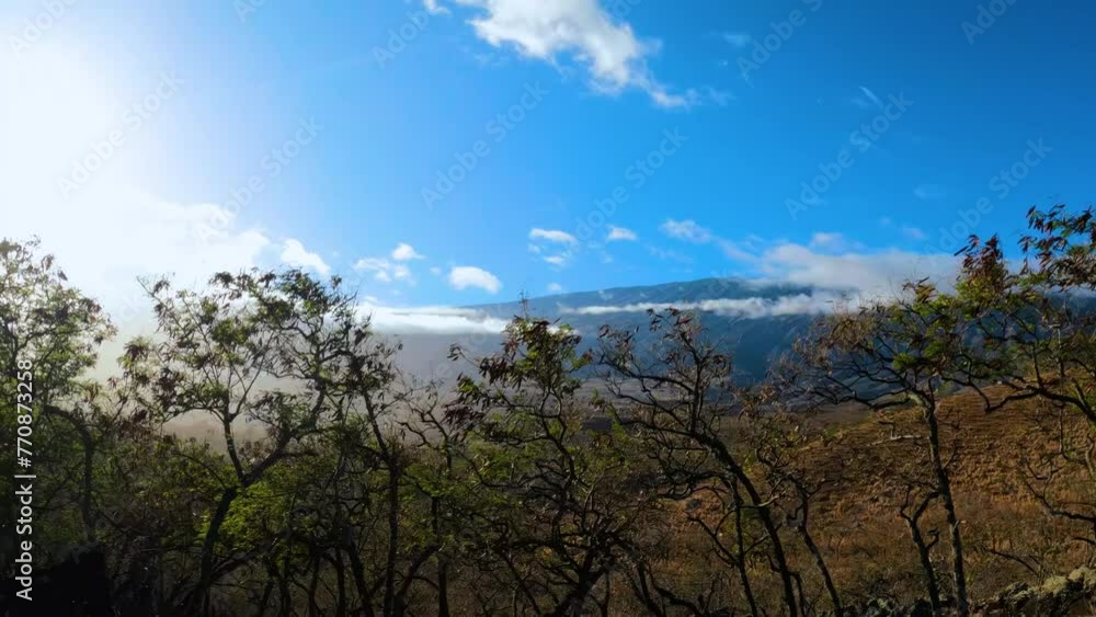 Driving along the Maui mountains to the ocean bay. Pov footage of mountain road, hills and bay. A ride in the mountains on a sunny day, passenger pov. Driving along the Maui mountains to the ocean bay. Pov footage of mountain road, hills and bay. A ride in the mountains on a sunny day, passenger pov.