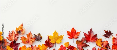 Autumnal colorful maple leaves border on white background with copy space  wide banner for fall season concept Generative AI