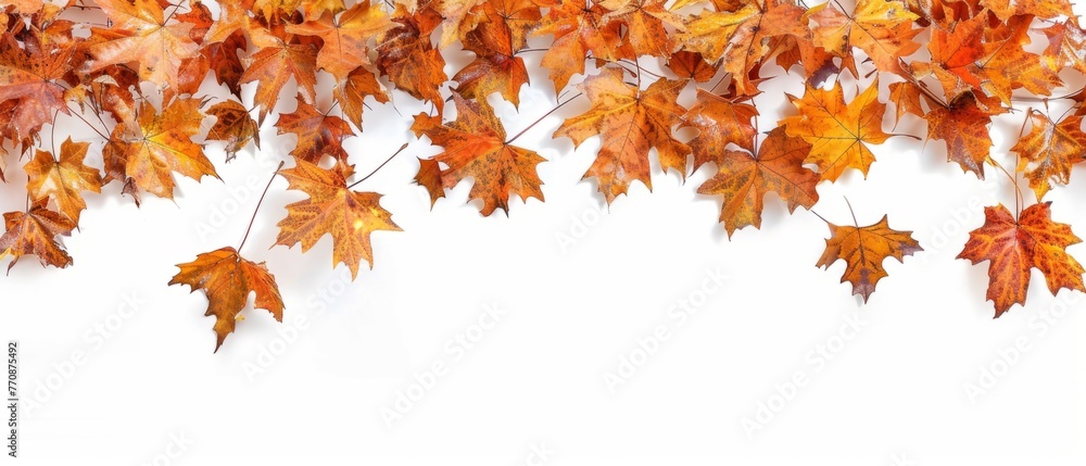 Autumnal maple leaves border isolated on white background, panoramic view Generative AI Autumnal maple leaves border isolated on white background, panoramic view Generative AI