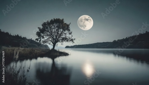 a calm lake at night, silver moonlight, a silhouette of a lonely tree, a big silver moon, hyperrealistic, no clouds