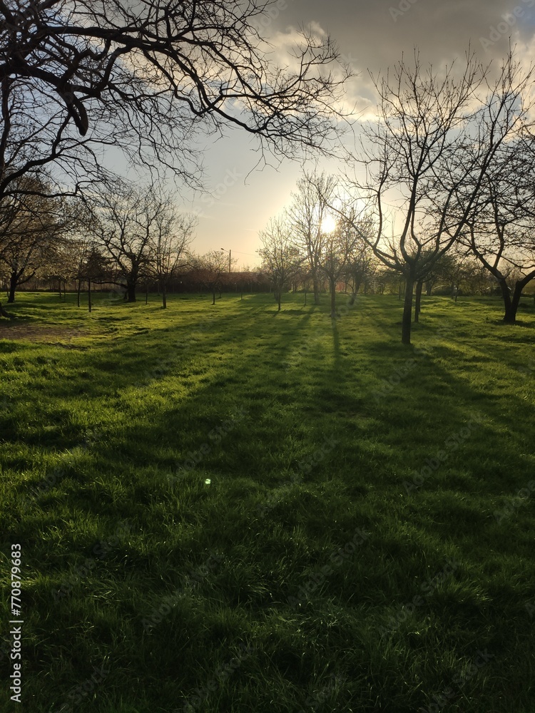 Magnifique rayonnement de Soleil qui brille fortement le gazon d'un parc département, avec environnement de campagne et de terrain, beauté de verdure, effet photographique en luminosité, balade santé