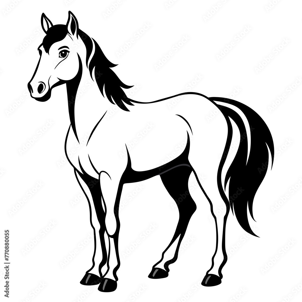 horse illustration horse illustration