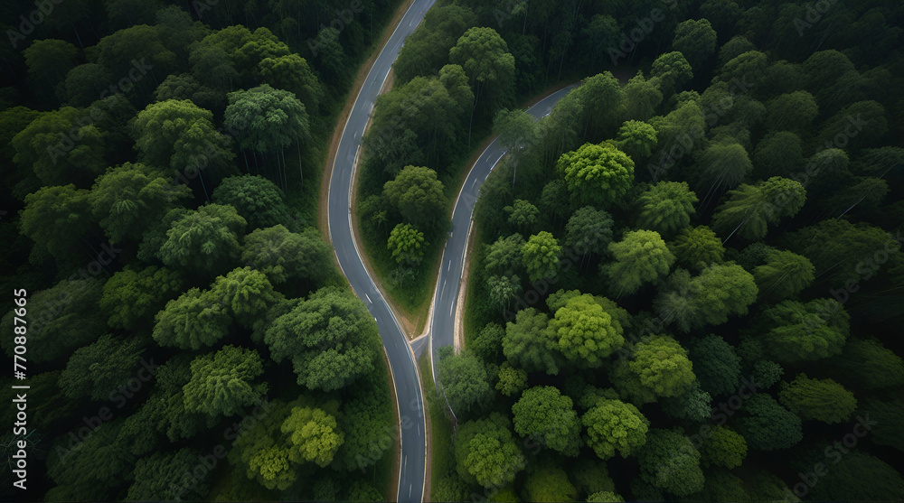 Aerial top view beautiful curvy road on green forest .Generative AI