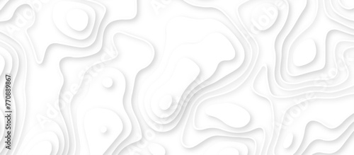 Fototapeta Naklejka Na Ścianę i Meble -  Abstract geometric layered curve line white background. 3d render, paper cut vector art background banner texture. multi layer cutout geometric patterns with smooth wavy layer. white background. 