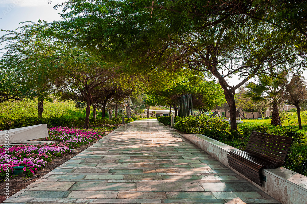 a shaded path in the flowery urban park of Kuwait City